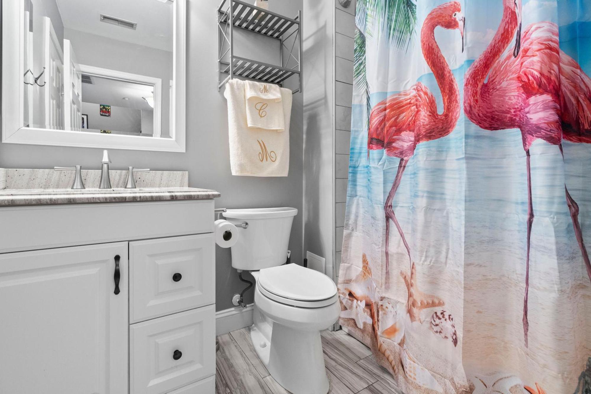 Apartmán New Tropical Island Oasis Baltimore Exteriér fotografie